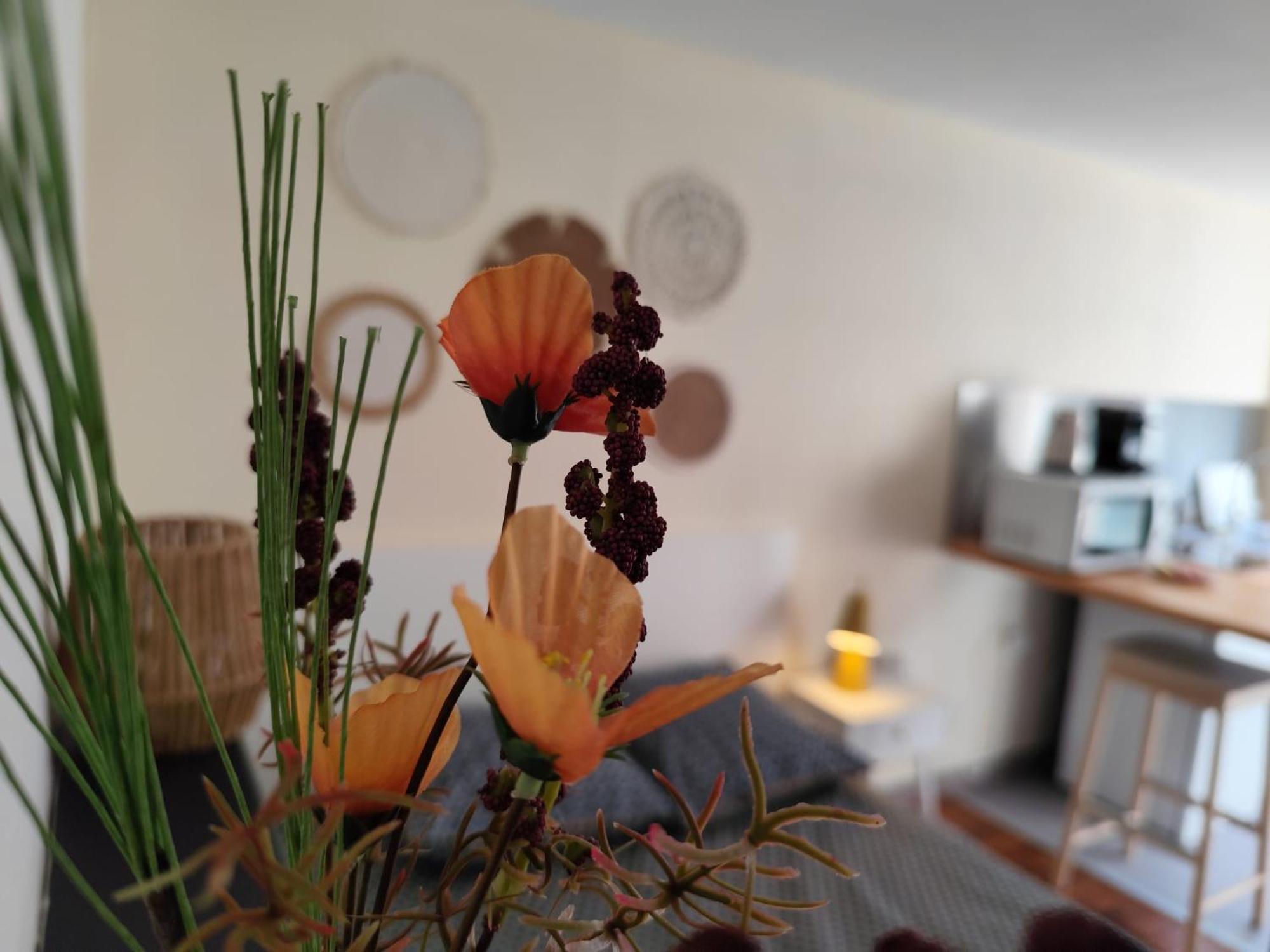 Appartement Le Nid 2 By Nid'ouest